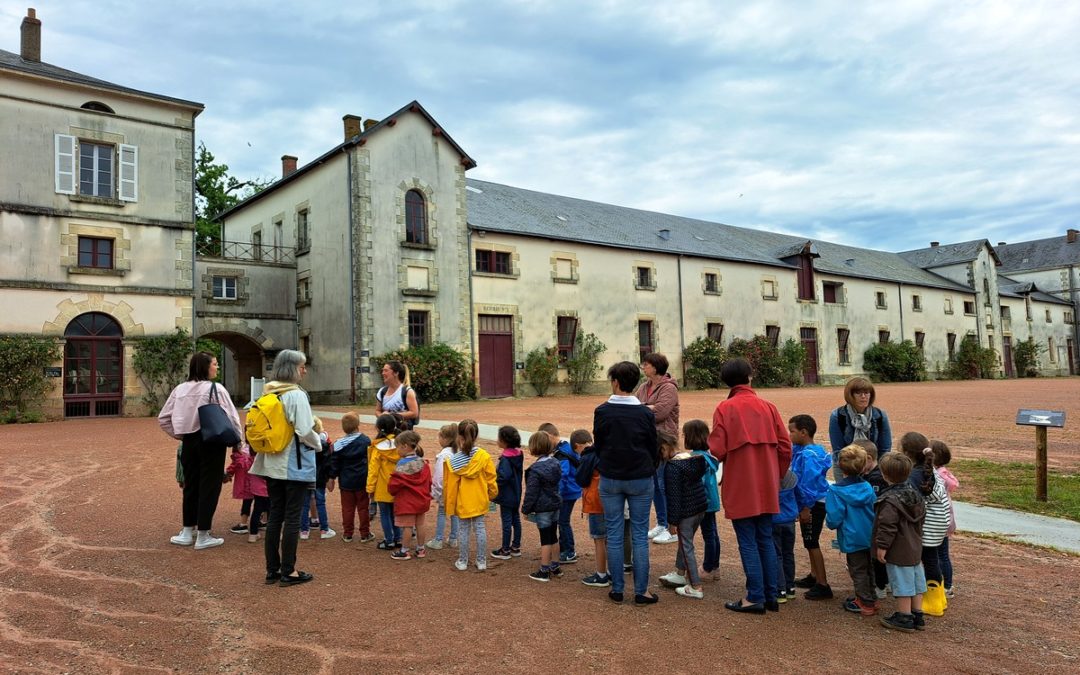 MSa au Haras de La Roche sur Yon – A la découverte du cuir…