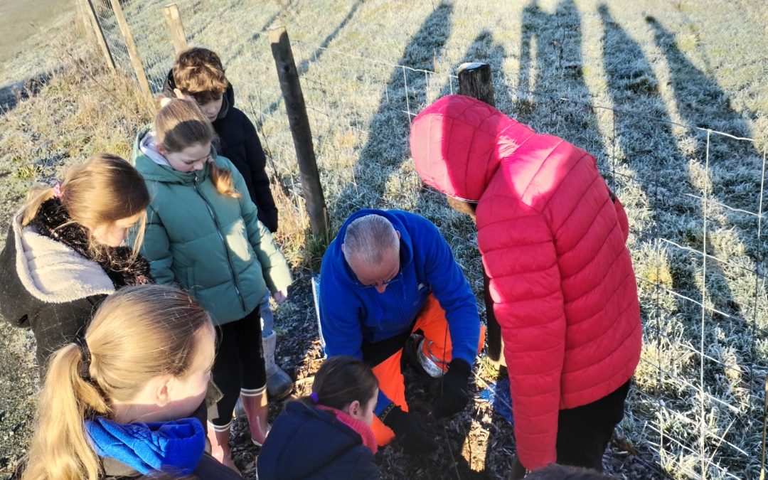 Opération « je plante pour ma ville »